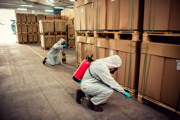 Best Mosquito Control Services  in Bridgeport, NY