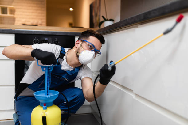 Best Rat Extermination Near Me  in Bridgeport, NY