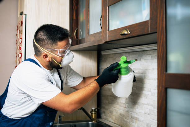Best Insect Control  in Bridgeport, NY