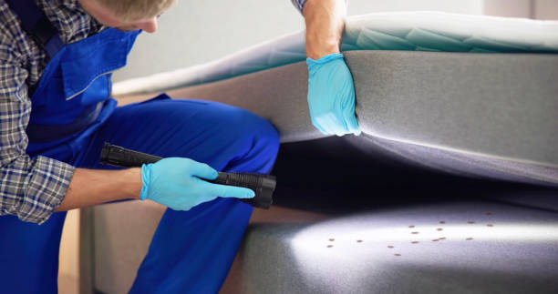 Best Mosquito Control Services  in Bridgeport, NY
