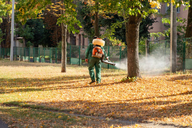 Best Pest Prevention Services  in Bridgeport, NY